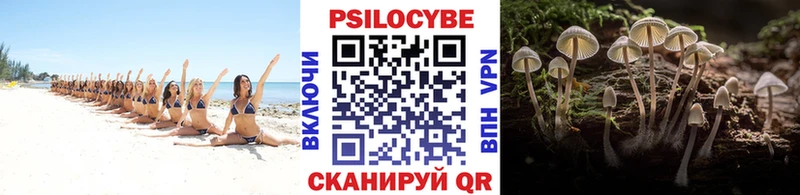 Галлюциногенные грибы GOLDEN TEACHER  Купить закладки  Карабулак 